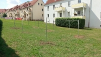 Trockenplatz hinter dem Haus.jpg